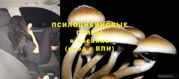 винт Бугульма